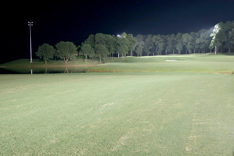 Night Golf 1375